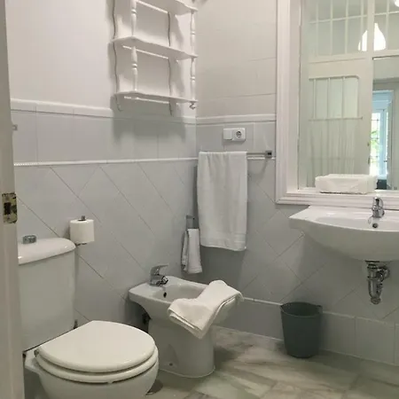 Con Patio Apartment Malaga